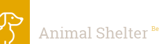 animal-shelter
